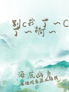 别c我了～C烂了～啊～
