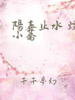 阳春止水 烟树小荞