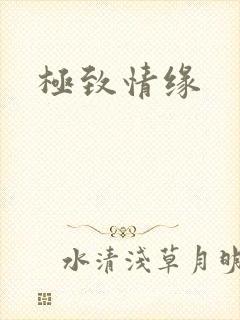 极致情缘
