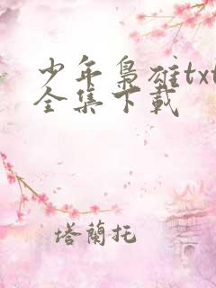 少年枭雄txt全集下载