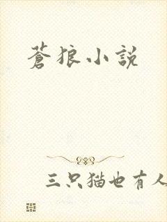 苍狼小说