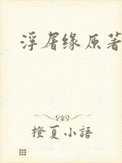 浮屠缘原著小说