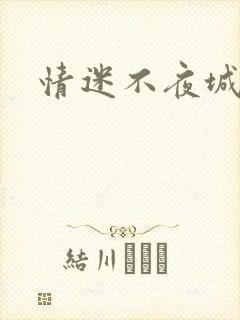 情迷不夜城