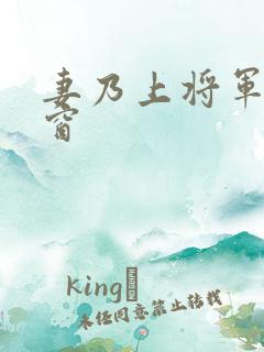 妻乃上将军无弹窗