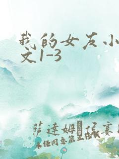 我的女友小洁全文1-3