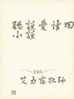 听说爱情回来过小说
