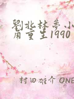 刘北林梦小说主角重生1990