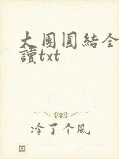 大团圆结全文阅读txt