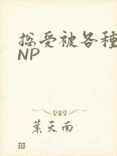 总受被各种姿势NP