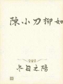 陈小刀柳如意