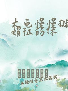 大龟慢慢挺进张娟征的休