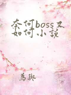 奈何boss又如何小说