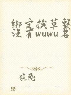 绑定挨草系统后没有wuwu名字