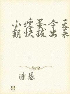 小坏蛋今天危险期快拔出来