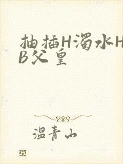抽插H浊水H嫩B父皇