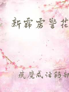 新霹雳警花