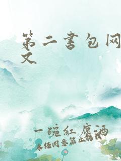 第二书包网高辣文
