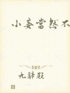 小妾当然不如妻