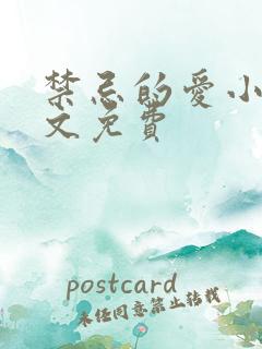 禁忌的爱小说全文免费