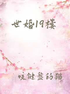 世婚19楼