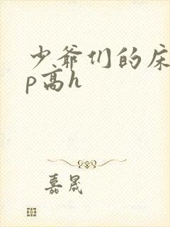 少爷们的床奴np高h