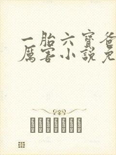 一胎六宝爸比好厉害小说免费阅读