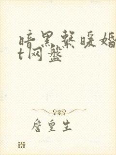 暗黑系暖婚txt网盘