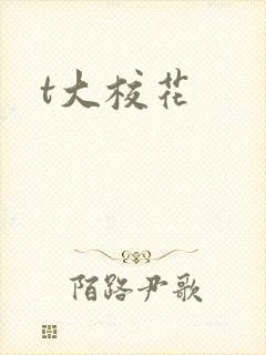 t大校花