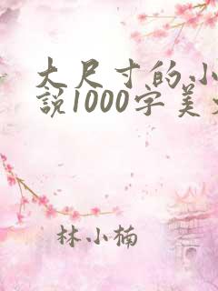 大尺寸的小黄说说1000字美文