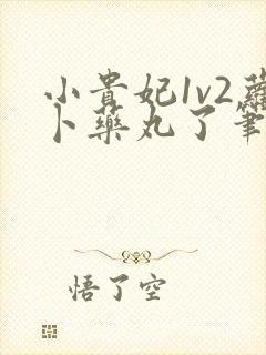 小贵妃1v2萝卜药丸了笔趣阁