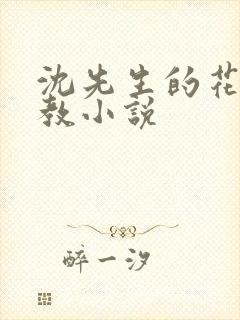 沈先生的花式调教小说