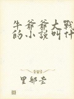 牛爷爷大战小丽的小说叫什么