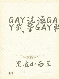 GAY洗澡GAY武警GAY软件