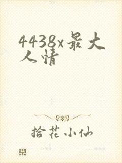 4438x最大人情