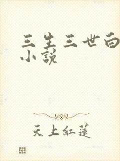 三生三世白暮泪小说