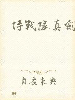 侍战队真剑者2