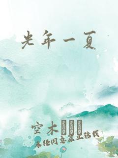 光年一夏
