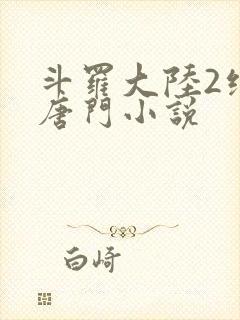 斗罗大陆2绝世唐门小说