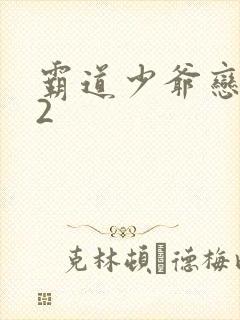 霸道少爷恋上我2