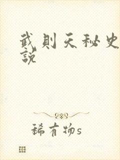 武则天秘史 小说