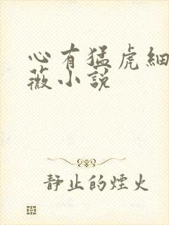 心有猛虎细嗅蔷薇小说
