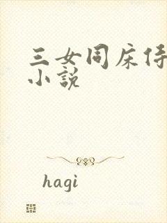 三女同床侍一夫小说