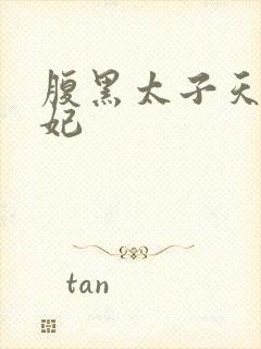 腹黑太子天降萌妃