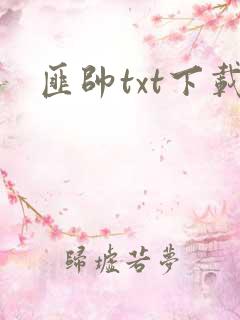 匪帅txt下载