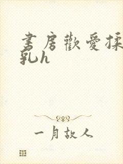 书房欢爱揉捏娇乳h