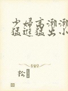 少妇高潮潮喷到猛进猛出小说