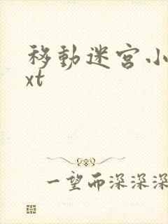 移动迷宫小说txt