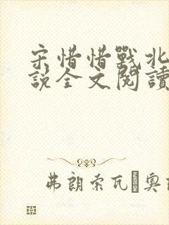 宋惜惜战北望小说全文阅读