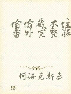 偷偷藏不住新婚番外完整版