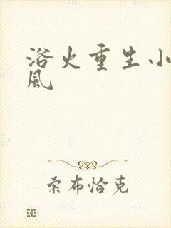 浴火重生小说陈风